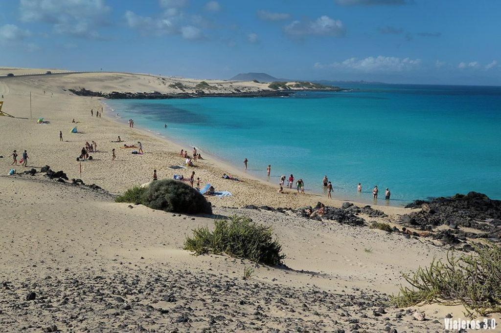 Gisher كوراليهو المظهر الخارجي الصورة